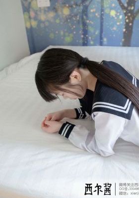 少帅一共多少集